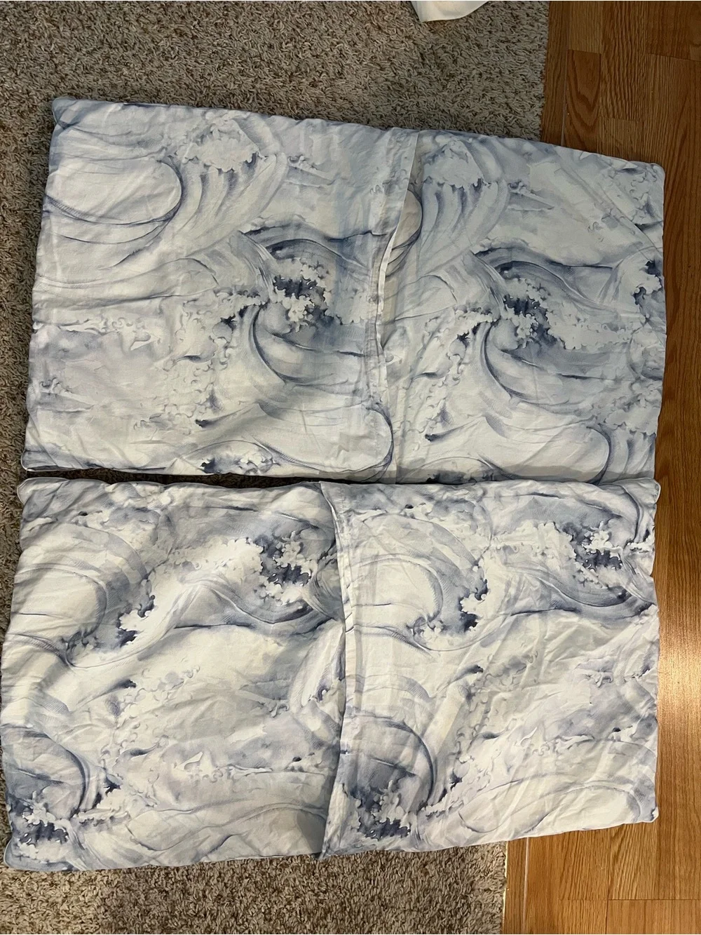 Pottery Barn King Jardin Toile Comforter Shams set of 2; 36